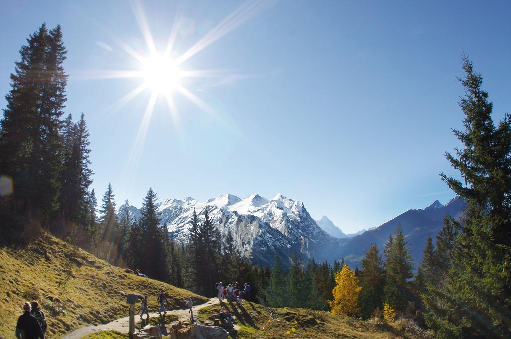 Mountain Lodge Urweider Innertkirchen Exteriör bild