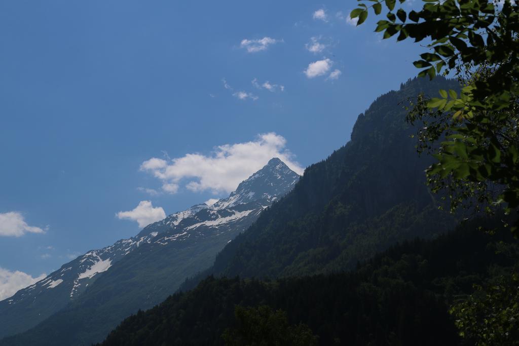 Mountain Lodge Urweider Innertkirchen Rum bild