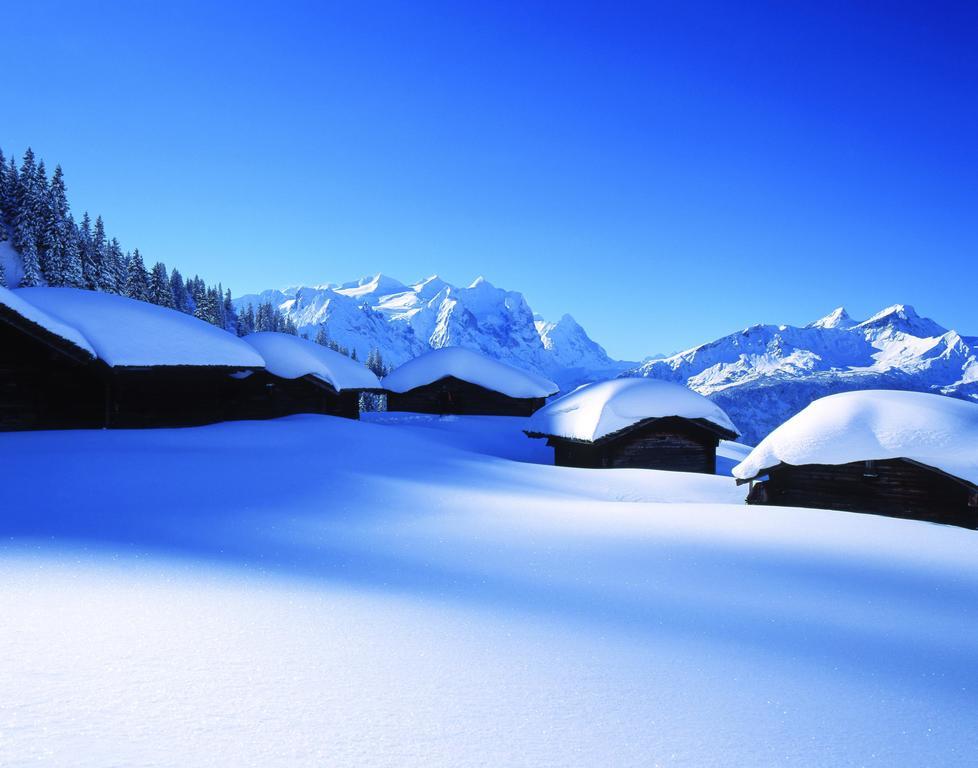 Mountain Lodge Urweider Innertkirchen Exteriör bild