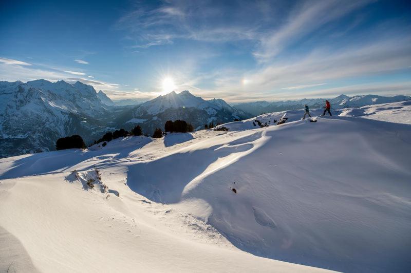 Mountain Lodge Urweider Innertkirchen Exteriör bild