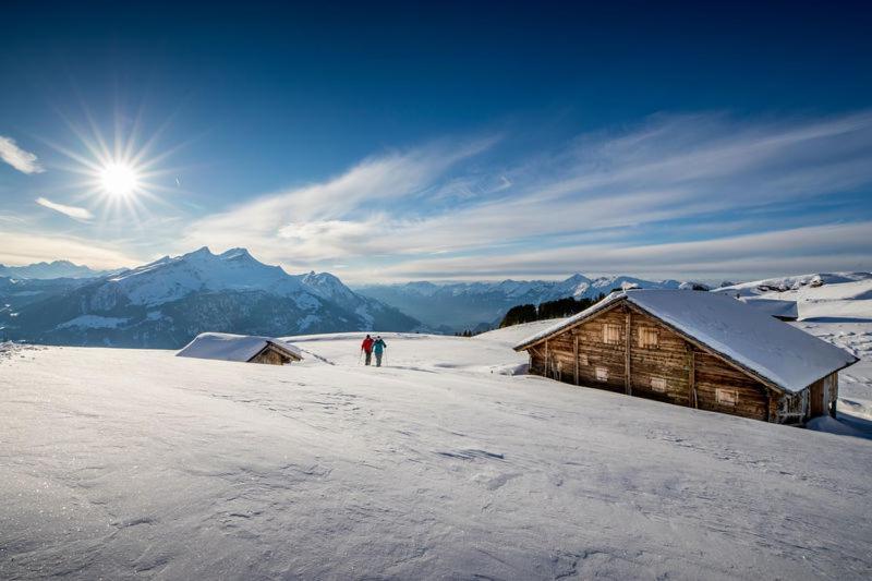 Mountain Lodge Urweider Innertkirchen Exteriör bild