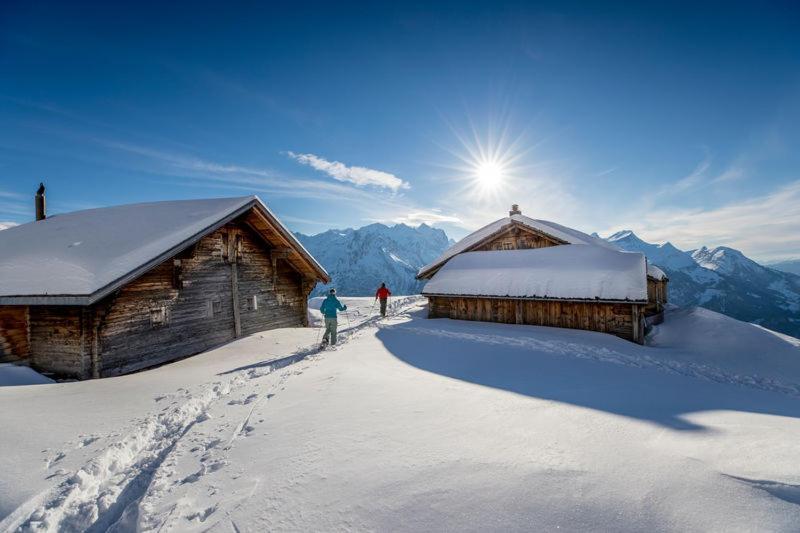 Mountain Lodge Urweider Innertkirchen Exteriör bild